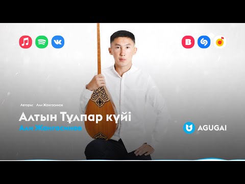 Али Жангасинов - Алтын Тұлпар Күйі фото